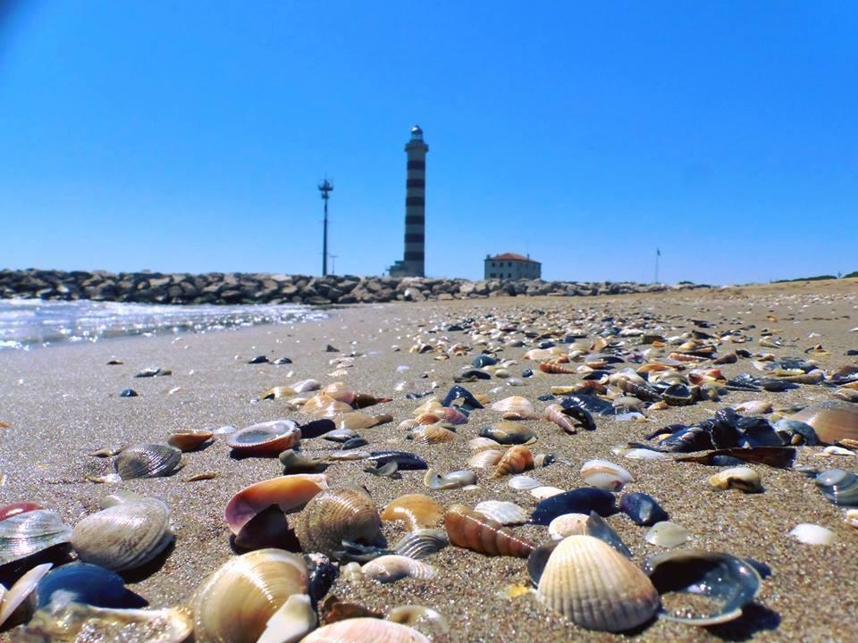 Sea Beach Lido di Jesolo